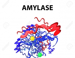HomeVic Amylase