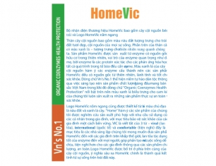 Ý nghĩa một thương hiệu Việt - Homevic