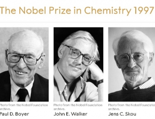 Giải Nobel Hóa học năm 1997