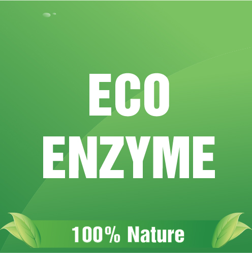 Lau bếp Botanic enzyme 500ml