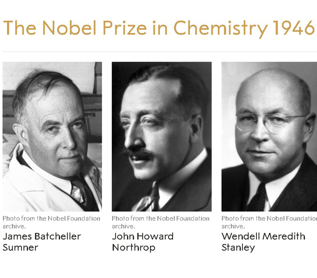 Giải Nobel Hóa học năm 1946